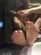 Piedi
