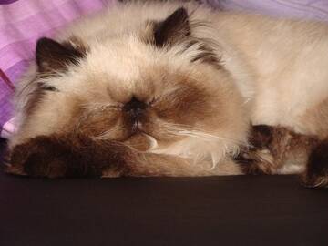 Public Photo of ilbruttoanatroccolo